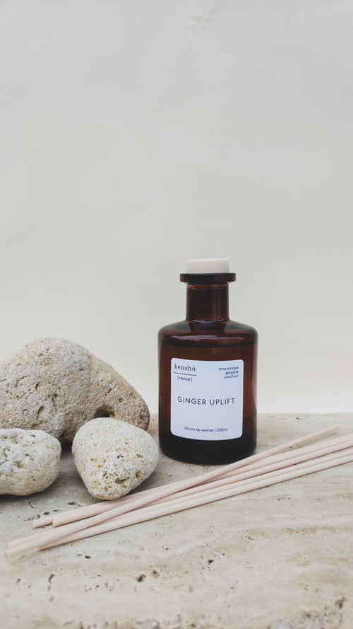 Difusor de Varetas Ginger Uplift