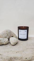 Vela Ginger Uplift